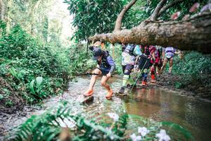 BIB: 
                            <button type="button" onclick="openModal(25517377)" class="btn btn-primary btn-sm float-right btn-popup" data-toggle="modal" data-target=".modal-high-quality">
                        <i class="fas fa-shopping-cart"></i> Add to Cart
                    </button>
                                            <button type="button" onclick="isThisMe(25517377, true)" class="btn btn-success btn-sm float-right btn-popup btn-isme hidden" data-toggle="tooltip" data-placement="bottom" title="นี่คือรูปของคุณใช่ไหม คลิกที่นี่เพื่อเอาเข้าอัลบั้ม">
                        <i class="fas fa-plus"></i> Add to album
                    </button>
                    <button type="button" onclick="isThisMe(25517377, false)" class="btn btn-warning btn-sm float-right btn-popup btn-isnotme hidden">
                        <i class="fas fa-ban"></i> Remove from album
                    </button>